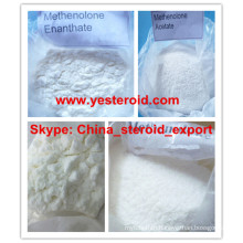 Injectable Steroid Primobolan Anabolic Powder Methenolone Acetate High Purity 99%